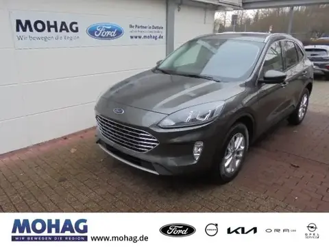 Used FORD KUGA Petrol 2023 Ad 