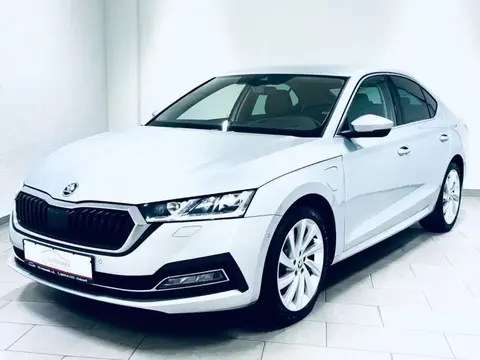 Annonce SKODA OCTAVIA Hybride 2021 d'occasion 