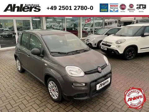 Used FIAT PANDA Petrol 2023 Ad 