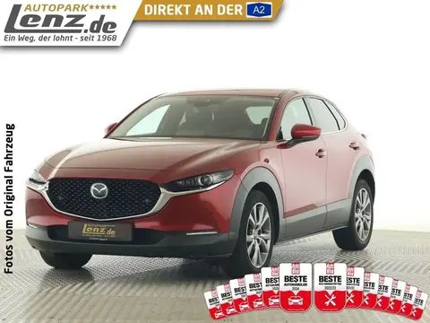 Annonce MAZDA CX-30 Essence 2020 d'occasion 