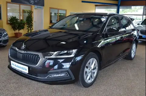 Annonce SKODA OCTAVIA Diesel 2020 d'occasion 