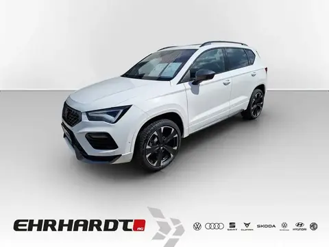 Annonce CUPRA ATECA Essence 2024 d'occasion 