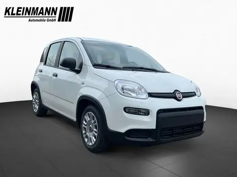 Annonce FIAT PANDA Hybride 2024 d'occasion 