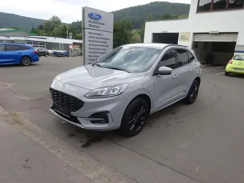 Used FORD KUGA Hybrid 2023 Ad 