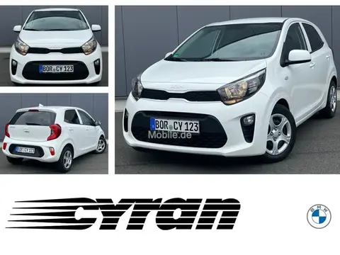 Used KIA PICANTO Petrol 2024 Ad 