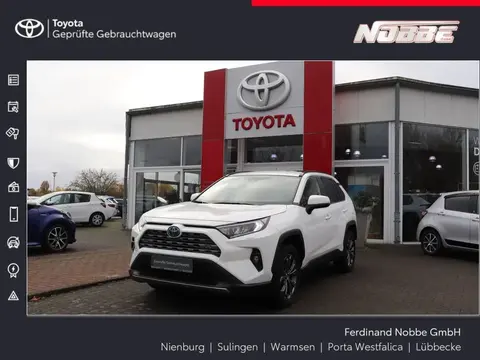 Used TOYOTA RAV4 Hybrid 2023 Ad 