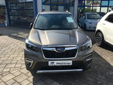 Used SUBARU FORESTER Hybrid 2022 Ad 