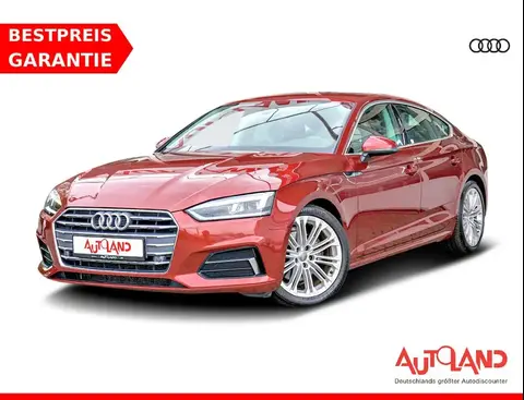 Used AUDI A5 Diesel 2019 Ad Germany