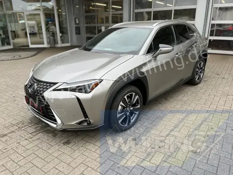 Annonce LEXUS UX Essence 2023 d'occasion 