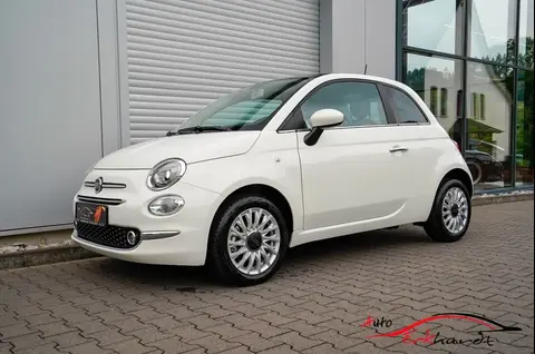 Used FIAT 500 Petrol 2023 Ad 