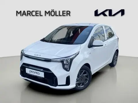 Used KIA PICANTO Petrol 2024 Ad 