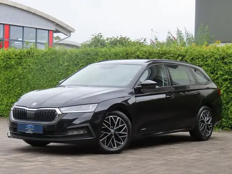 Annonce SKODA OCTAVIA Diesel 2020 d'occasion 