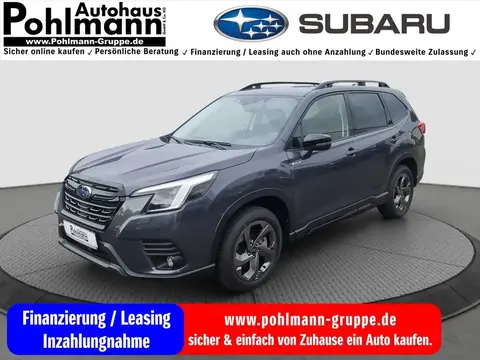 Used SUBARU FORESTER Petrol 2023 Ad 