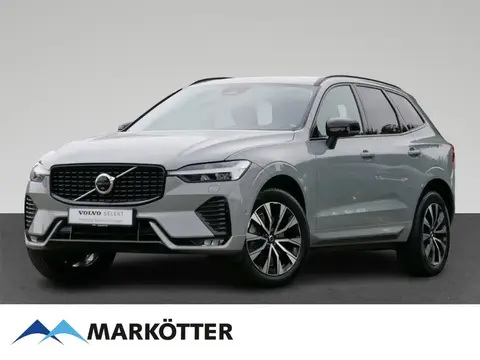 Annonce VOLVO XC60 Diesel 2023 d'occasion 