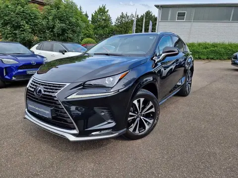 Annonce LEXUS NX Hybride 2021 d'occasion 