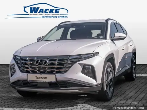 Annonce HYUNDAI TUCSON Hybride 2024 d'occasion 