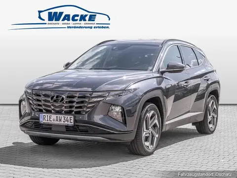 Annonce HYUNDAI TUCSON Hybride 2024 d'occasion 