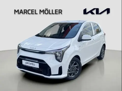 Annonce KIA PICANTO Essence 2024 d'occasion 