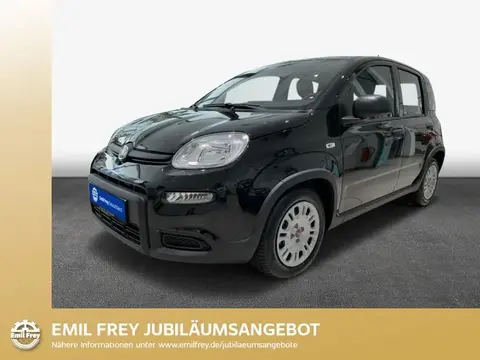 Annonce FIAT PANDA Essence 2024 d'occasion 