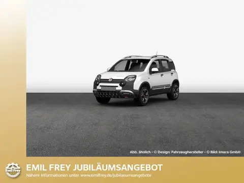 Annonce FIAT PANDA Essence 2024 d'occasion 