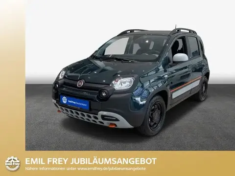 Annonce FIAT PANDA Essence 2024 d'occasion 