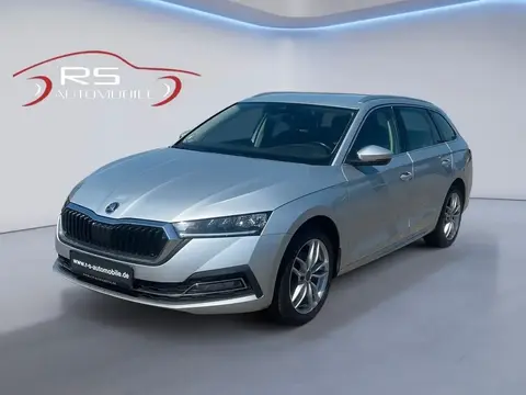 Used SKODA OCTAVIA Diesel 2020 Ad 