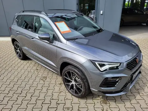 Annonce CUPRA ATECA Essence 2024 d'occasion 