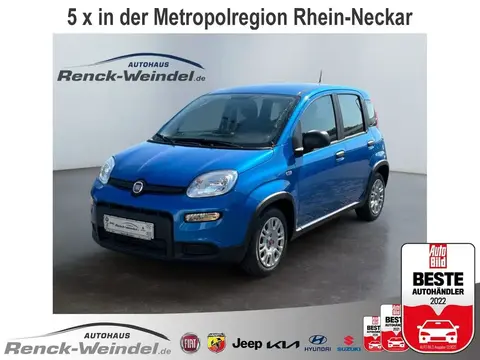 Used FIAT PANDA Hybrid 2024 Ad 