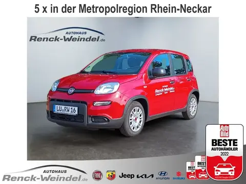 Used FIAT PANDA Hybrid 2024 Ad 