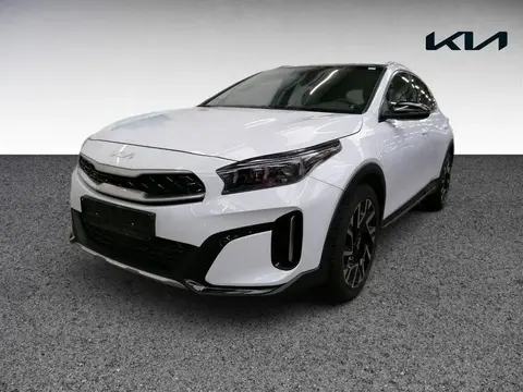 Annonce KIA XCEED Diesel 2023 d'occasion 