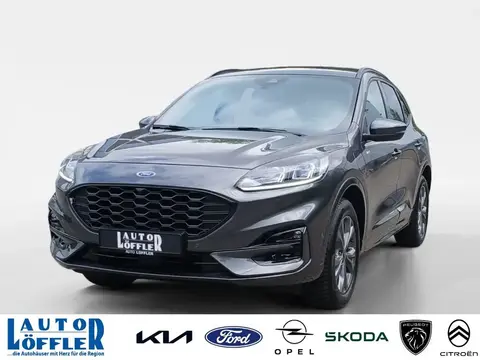 Used FORD KUGA Hybrid 2024 Ad 