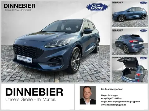 Annonce FORD KUGA Essence 2023 d'occasion 