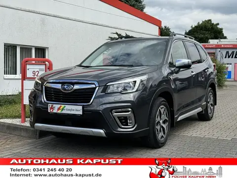 Used SUBARU FORESTER Petrol 2021 Ad 