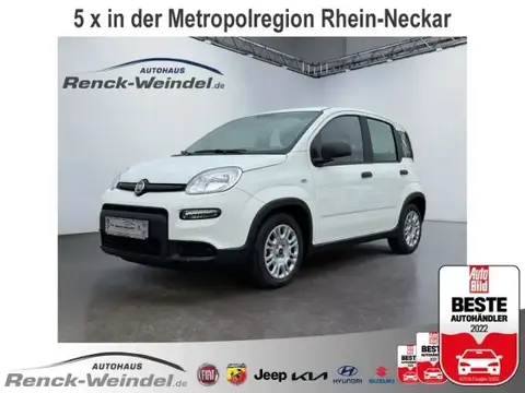 Used FIAT PANDA Hybrid 2024 Ad 