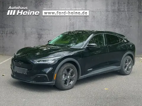 Used FORD MUSTANG Not specified 2022 Ad 