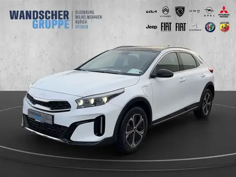 Annonce KIA XCEED Hybride 2024 d'occasion 