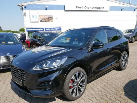 Used FORD KUGA Hybrid 2023 Ad 