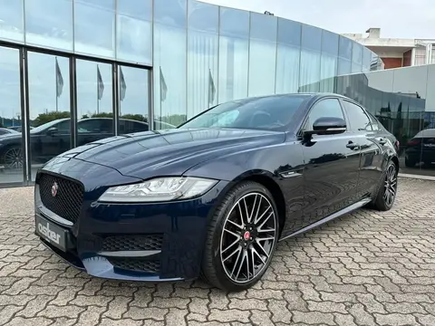 Annonce JAGUAR XF Diesel 2020 d'occasion 