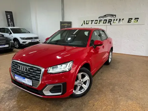 Used AUDI Q2 Diesel 2019 Ad Germany