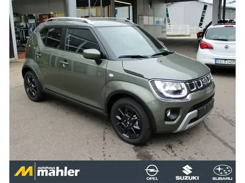 Used SUZUKI IGNIS Petrol 2024 Ad 