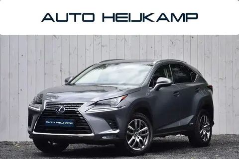 Used LEXUS NX Hybrid 2021 Ad 