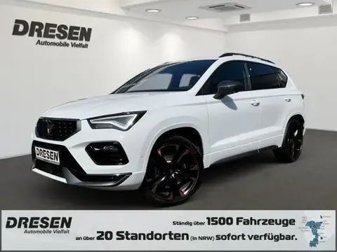 Used CUPRA ATECA Petrol 2023 Ad 