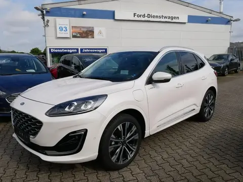 Annonce FORD KUGA Hybride 2023 d'occasion 