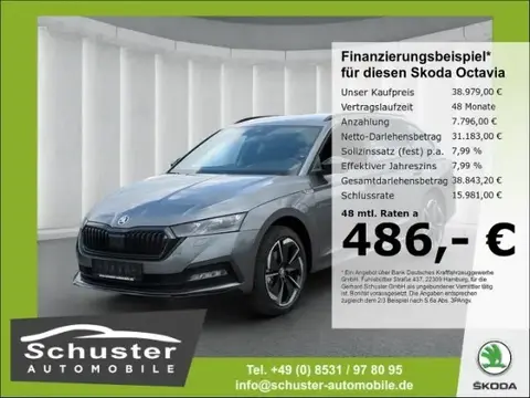 Annonce SKODA OCTAVIA Diesel 2024 d'occasion 