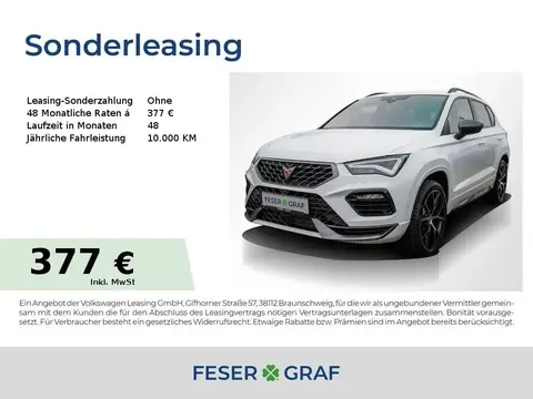 Annonce CUPRA ATECA Essence 2024 d'occasion 