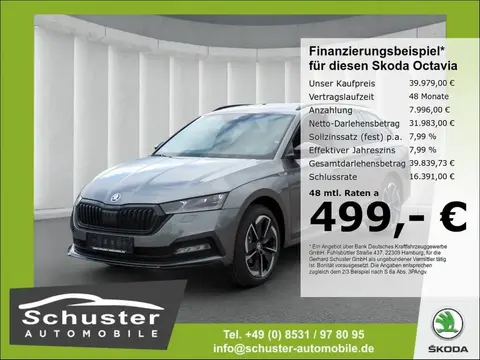 Annonce SKODA OCTAVIA Diesel 2024 d'occasion 