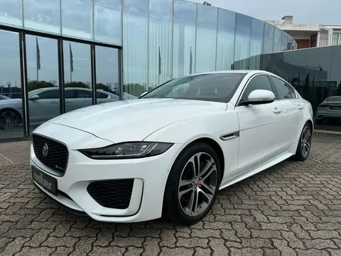 Used JAGUAR XE Petrol 2020 Ad 