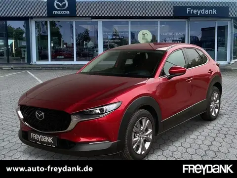 Annonce MAZDA CX-30 Hybride 2020 d'occasion 