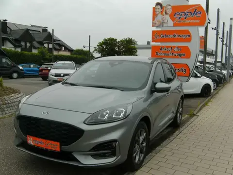 Annonce FORD KUGA Diesel 2020 d'occasion 