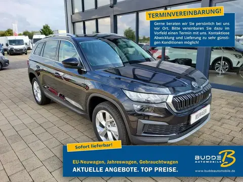 Used SKODA KODIAQ Diesel 2024 Ad 